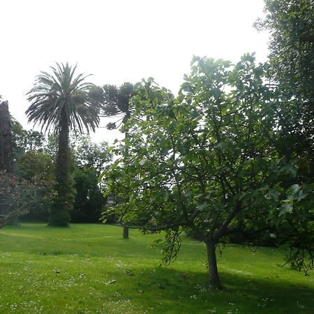 Las Carolinas Garden Santander Eksteriør bilde