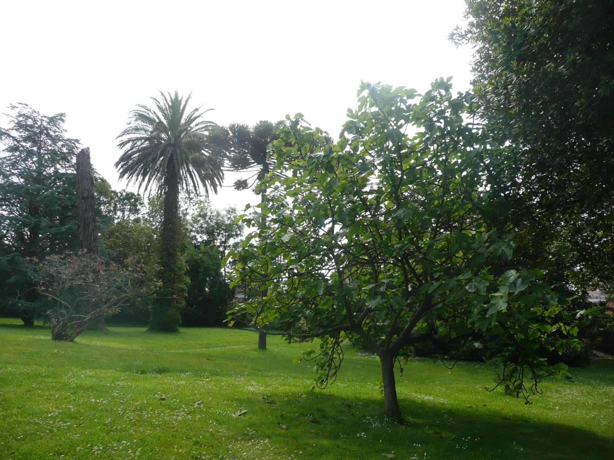 Las Carolinas Garden Santander Eksteriør bilde